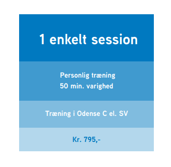 Enkelt session med personlig træner. Ønsker du at blive bedre til dine teknikker eller få tilrettelagt en træning? Så er 1 session lige noget for dig.